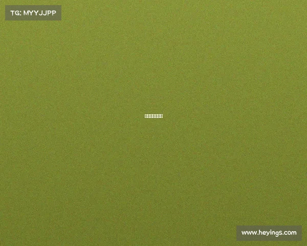 鄂尔多斯大师赛