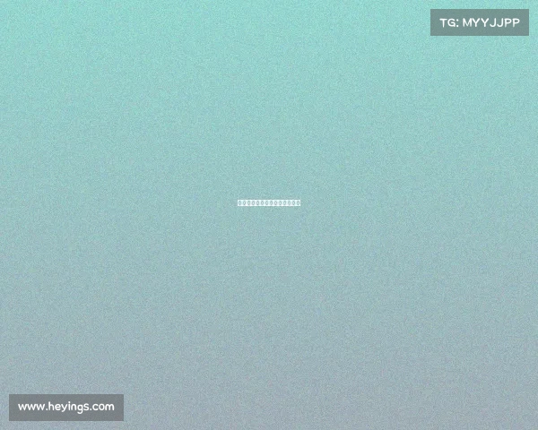 澳门大奖赛事故—澳门选手夺冠